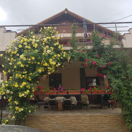 Hotel Casa Delia Călimăneşti Zewnętrze zdjęcie
