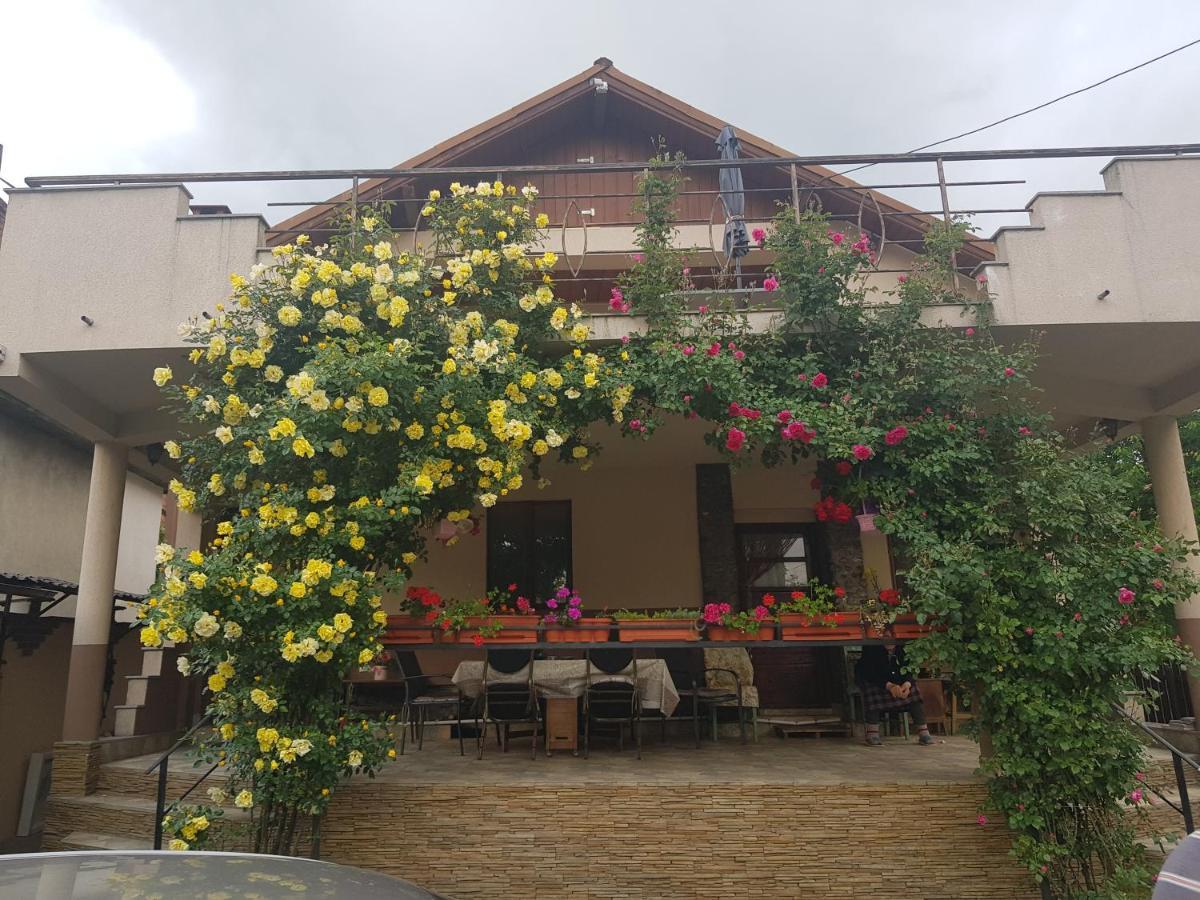 Hotel Casa Delia Călimăneşti Zewnętrze zdjęcie