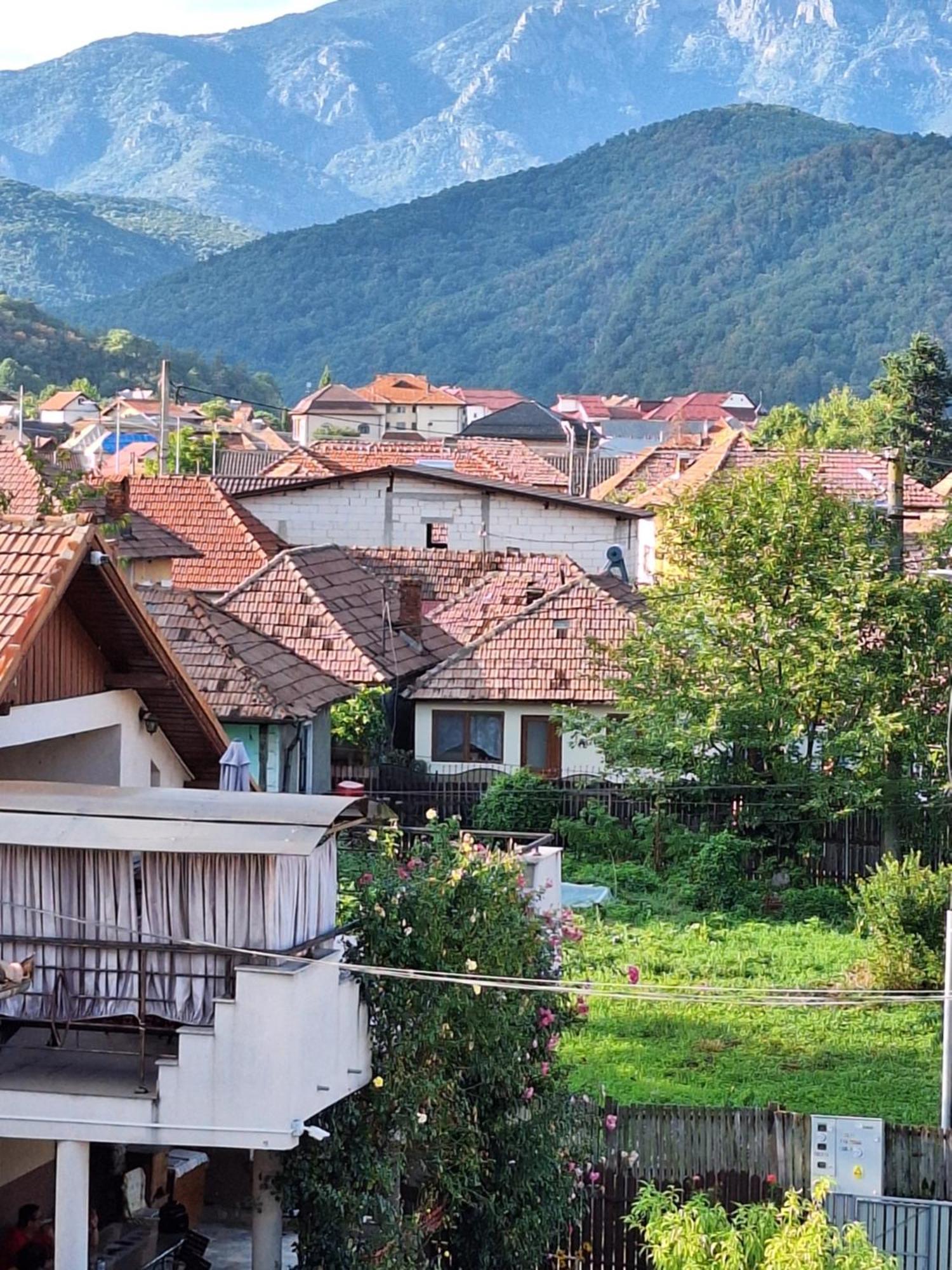 Hotel Casa Delia Călimăneşti Zewnętrze zdjęcie