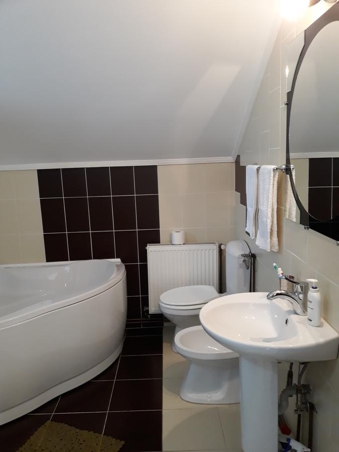 Hotel Casa Delia Călimăneşti Zewnętrze zdjęcie