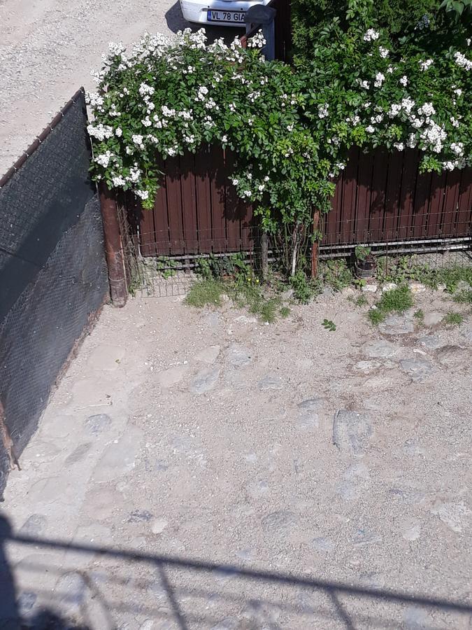 Hotel Casa Delia Călimăneşti Zewnętrze zdjęcie