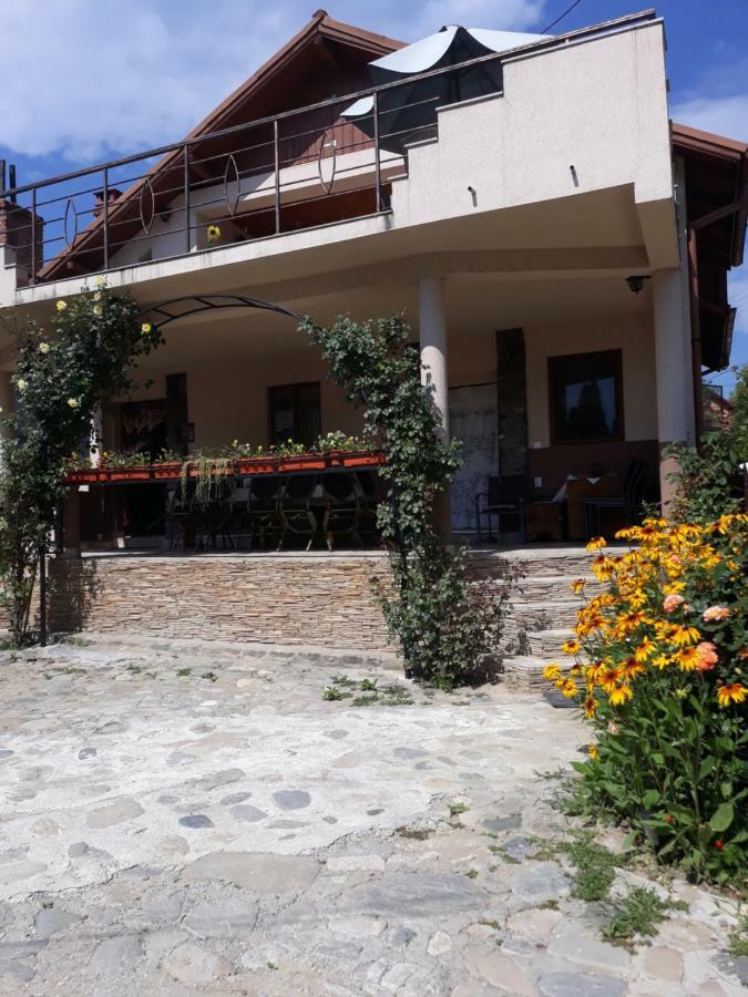 Hotel Casa Delia Călimăneşti Zewnętrze zdjęcie